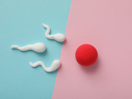 The Power of Fertility Preservation: Secure Your Future Family-Planning Choices