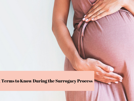 Important Terms to Know During the Surrogacy Process