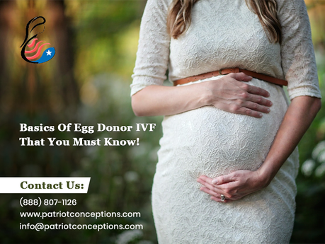 Basics of Egg Donor IVF That You Must Know!