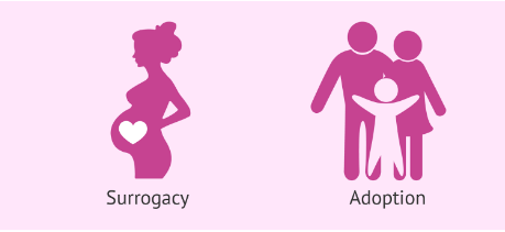 Hero image for 3 Reasons to Choose Surrogacy Over Adoption