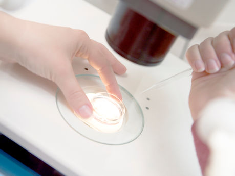 Embryo Transfer: Understanding the Process and Maximizing Success Rates