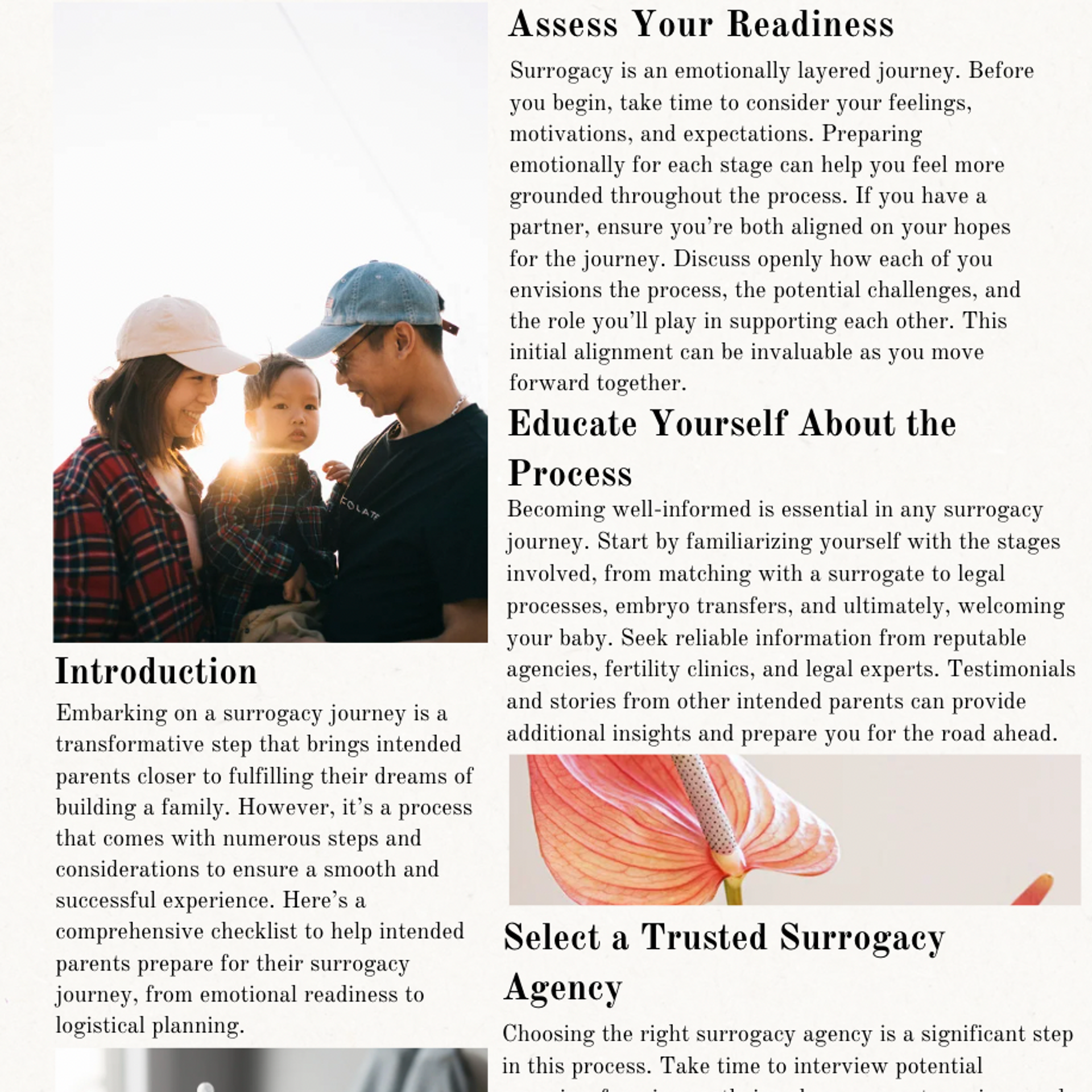 what to expect in the surrogacy journey as intended parents 